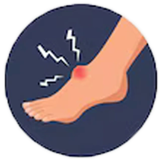 Ankle